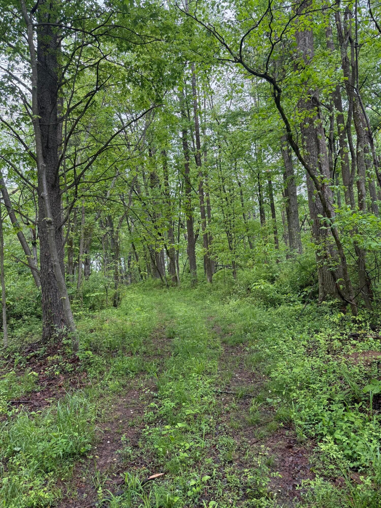 29500 Fairview Ridge Road Logan, OH 43138 - Photo 28 of 73 IMG_2253