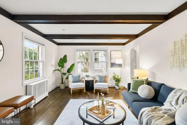 a living room with furniture and a potted plant