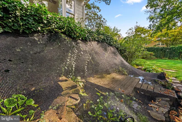 a view of a garden with a pathway