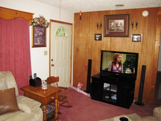 1811 Nester Road Thaxton, VA 24174 - Photo 22 of 26 a living room with furniture and a fireplace