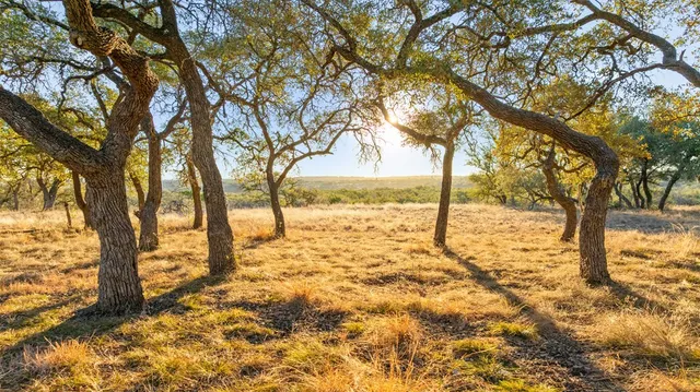 $369,000 | 1422-8 Ranch To Market Road 2766, Unit 8, Johnson City, TX 78636