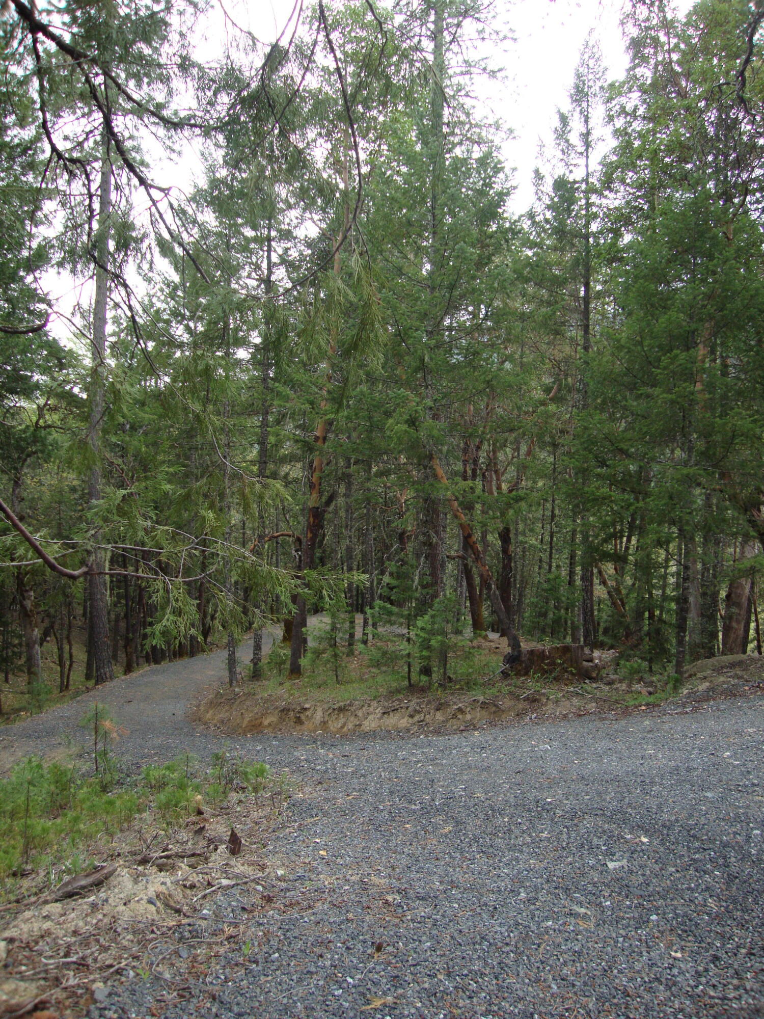 36510 Ditch Creek Road Rogue River, OR 97537 - Photo 11 of 17 DSC03660
