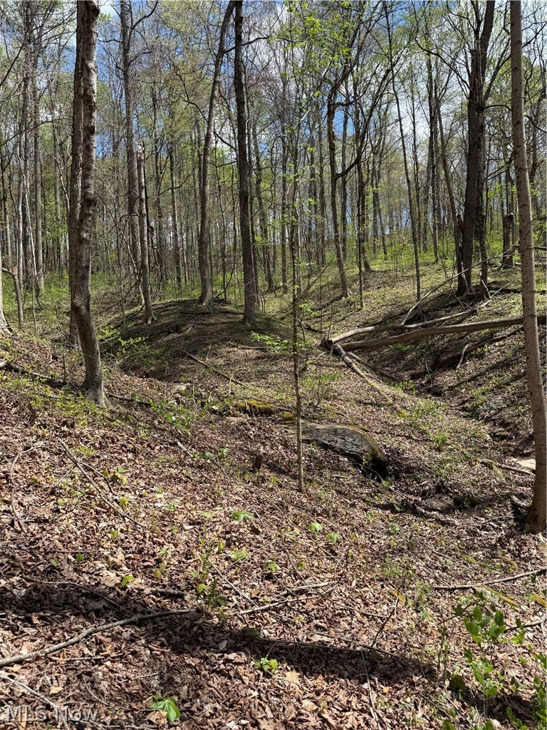 Plainview Road Woodsfield, OH 43793 - Photo 6 of 20