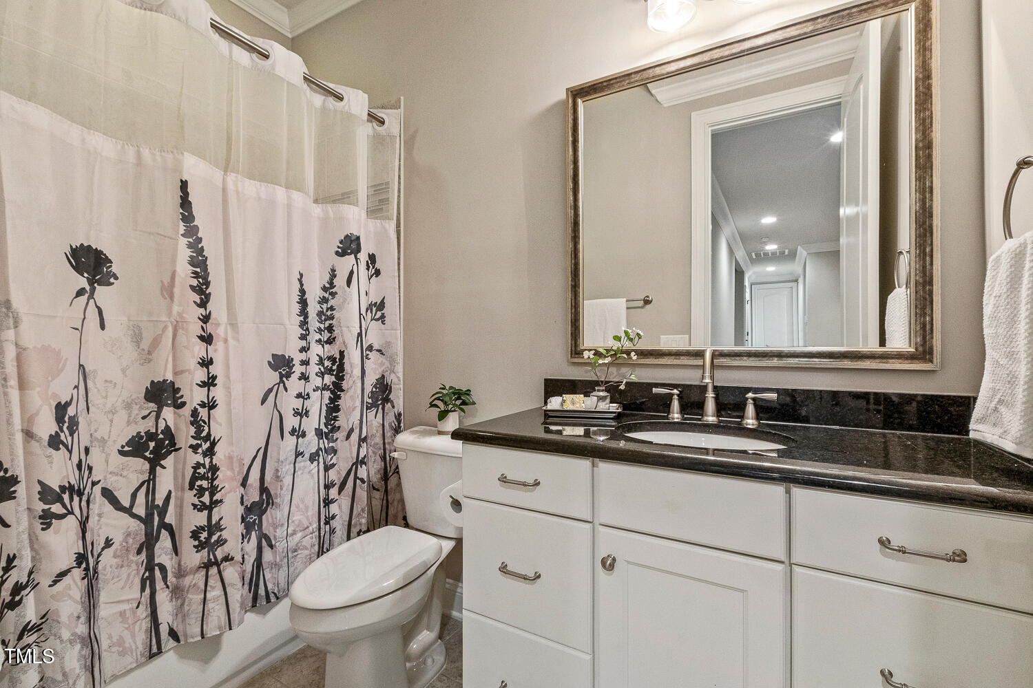 1205 Queensferry Road Cary, NC 27511 - Photo 29 of 63 a bathroom with a granite countertop sink mirror and toilet