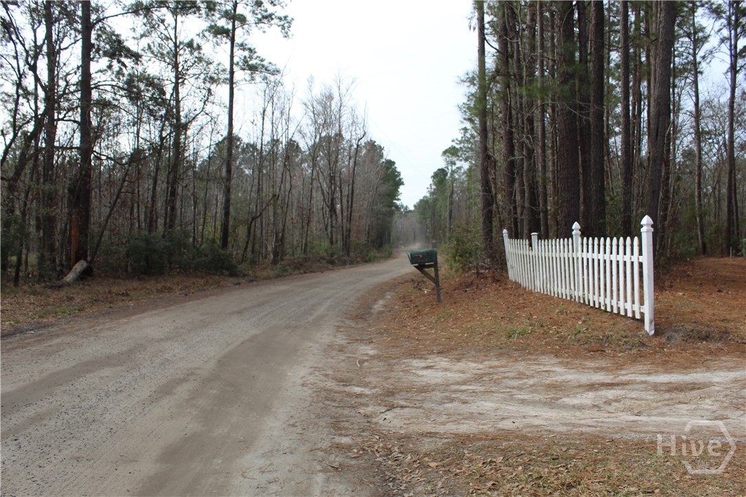 776 Phillips Road Midway, GA 31320 - Photo 2 of 16