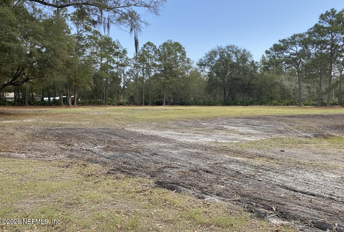 351-335 Otis Road Jacksonville, FL 32220 - Photo 5 of 16 a view of a field with trees