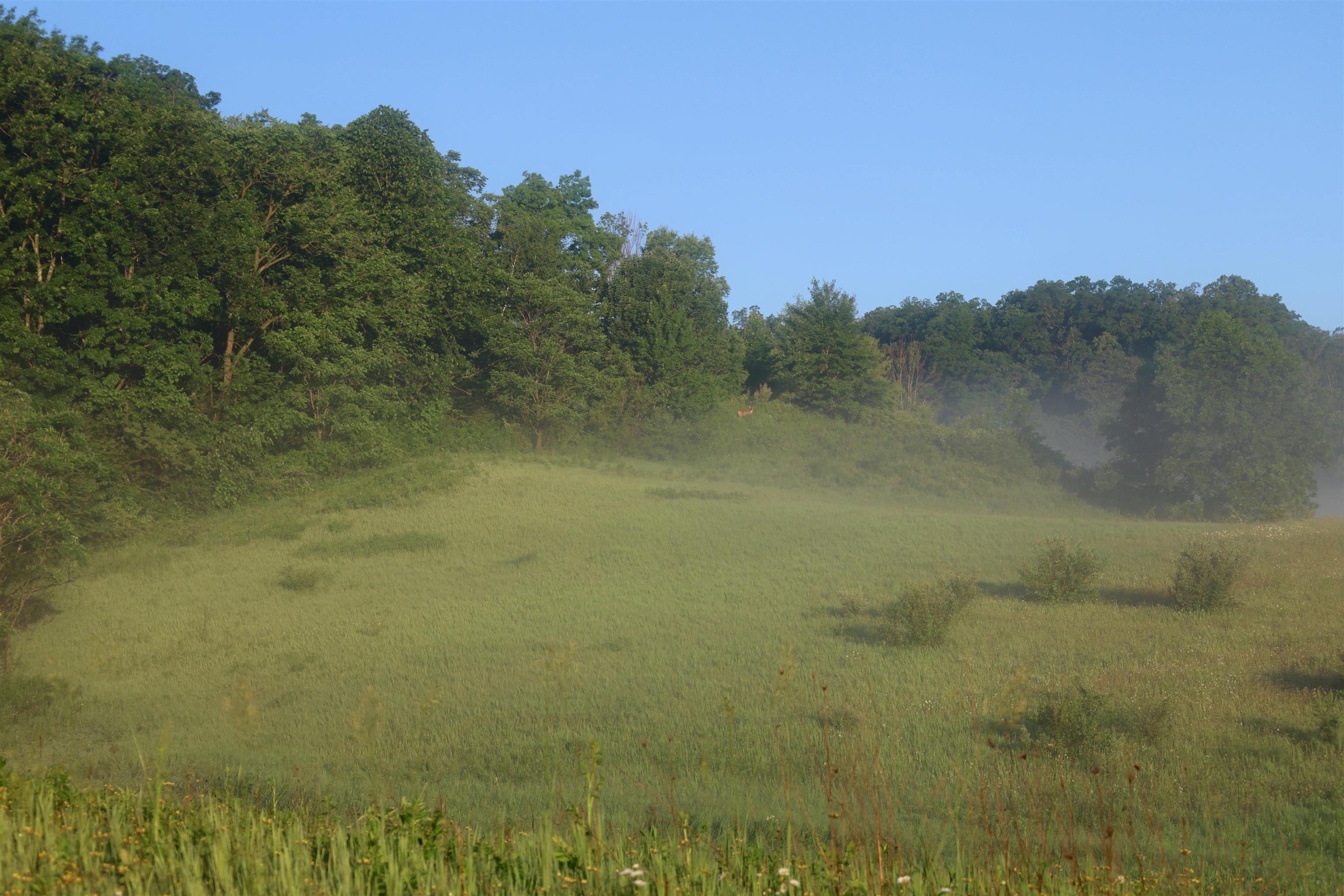 Tbd Wheat Hollow Road Cazenovia, WI 53924 - Photo 25 of 42