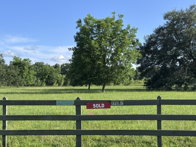 30934 Riverlake Road Fulshear, TX 77441 - Photo 7 of 21 a view of a park with large trees