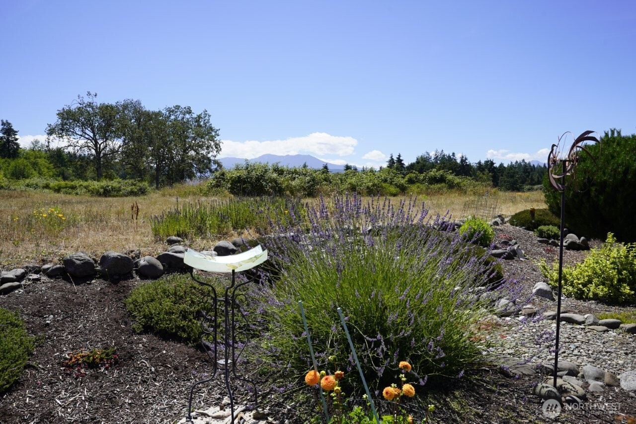 51 Jara Way Sequim, WA 98382 - Photo 32 of 33