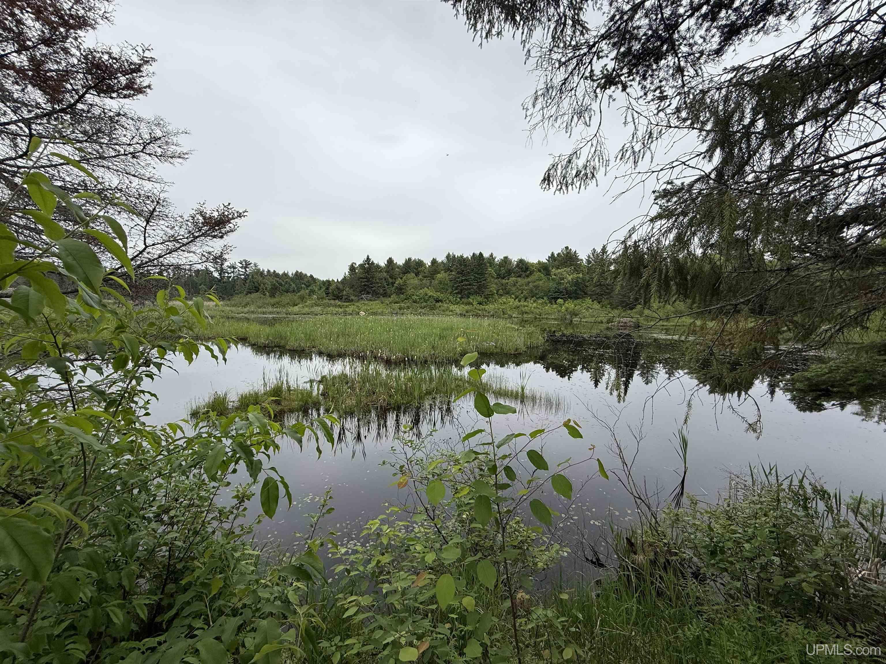 9535 Walstroms Road Republic, MI 49879 - Photo 25 of 37