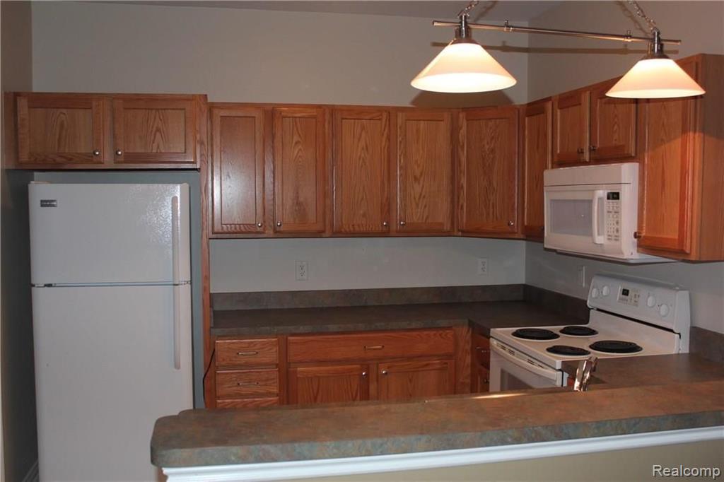 348 Filmore Street, Unit 142 Canton, MI 48188 - Photo 9 of 28