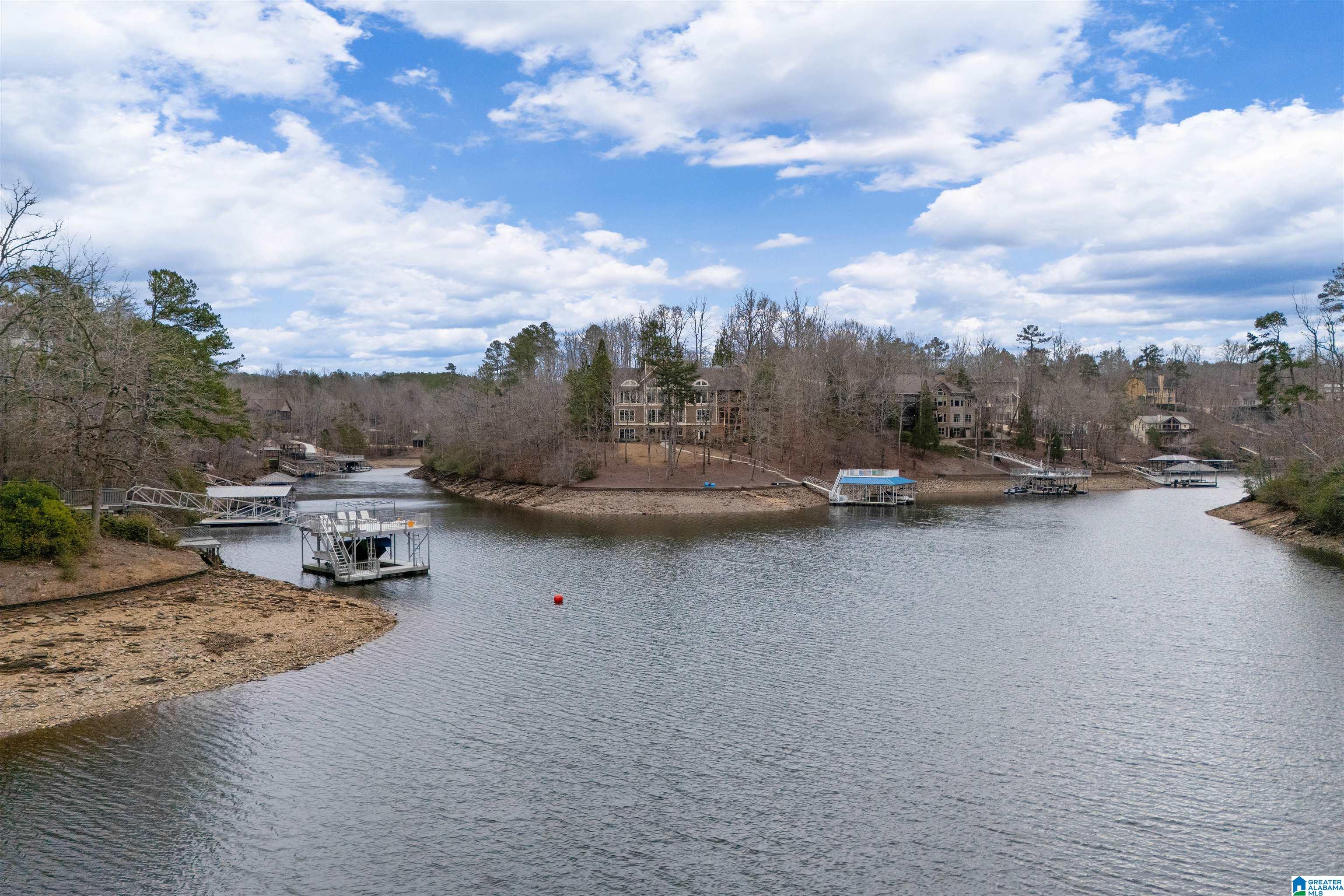 231 Dogwood Ridge North Wedowee, AL 36278 - Photo 4 of 46 Gallery Image 4