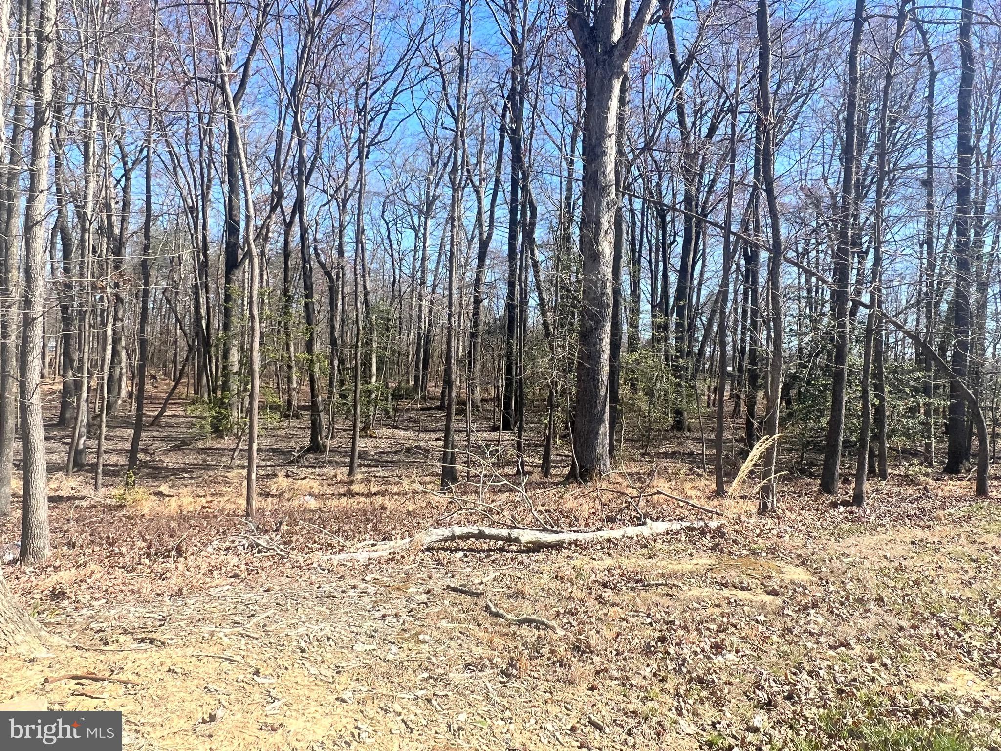 14204 Brandywine Heights Road Brandywine, MD 20613 - Photo 1 of 15 Gallery Image 1