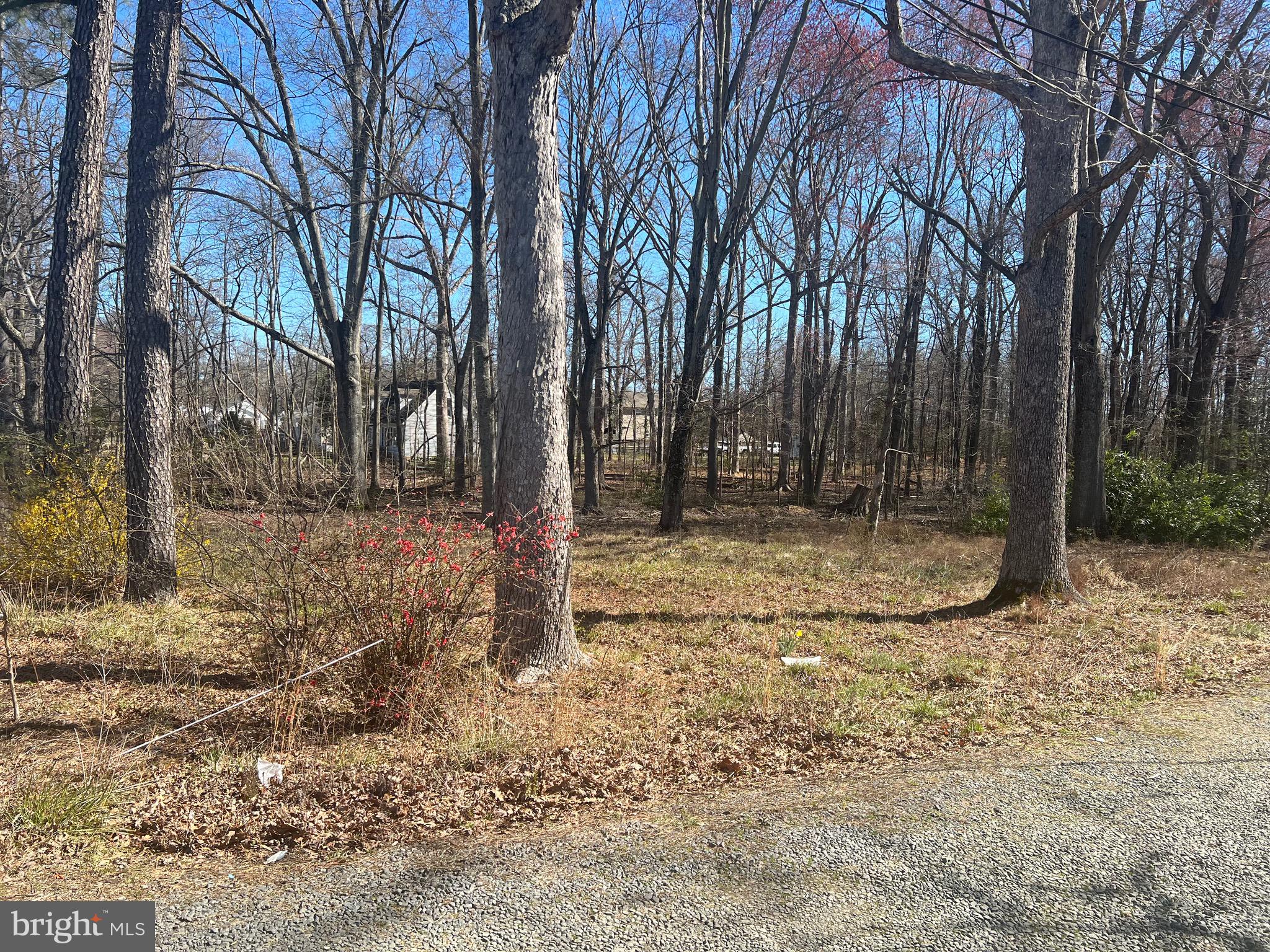 14204 Brandywine Heights Road Brandywine, MD 20613 - Photo 7 of 15 Gallery Image 7