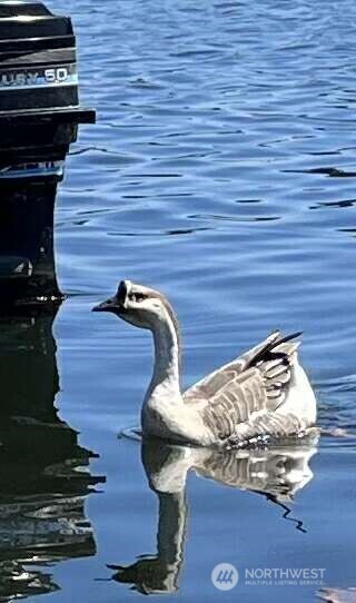 17103 Spanaway Loop Road South, Unit 22 Spanaway, WA 98387 - Photo 4 of 6