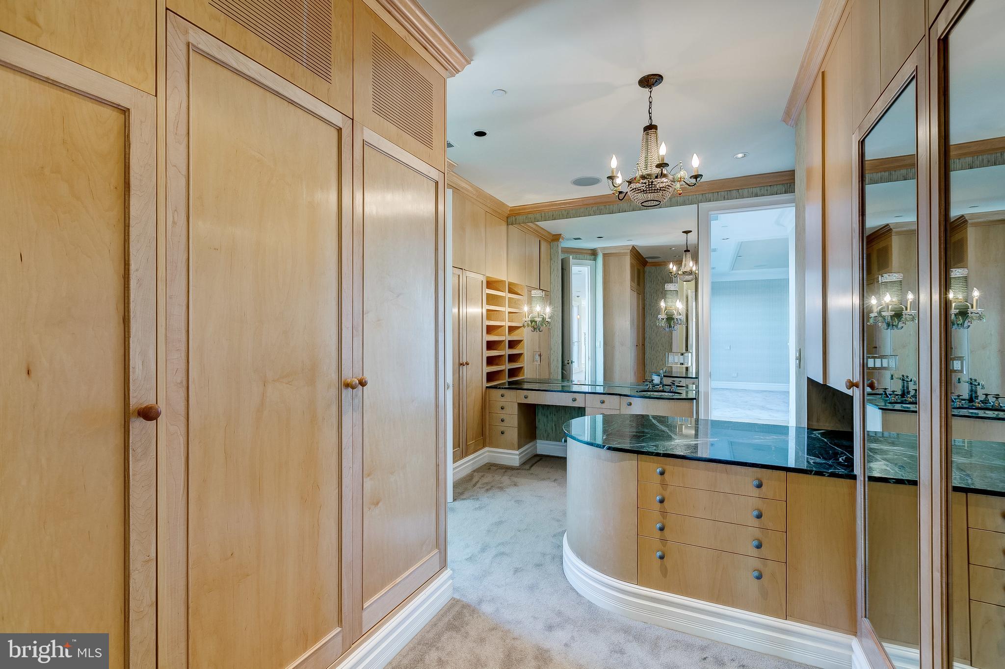 100 Harborview Drive, Unit PH4C Baltimore, MD 21230 - Photo 60 of 115 Walk-in closet