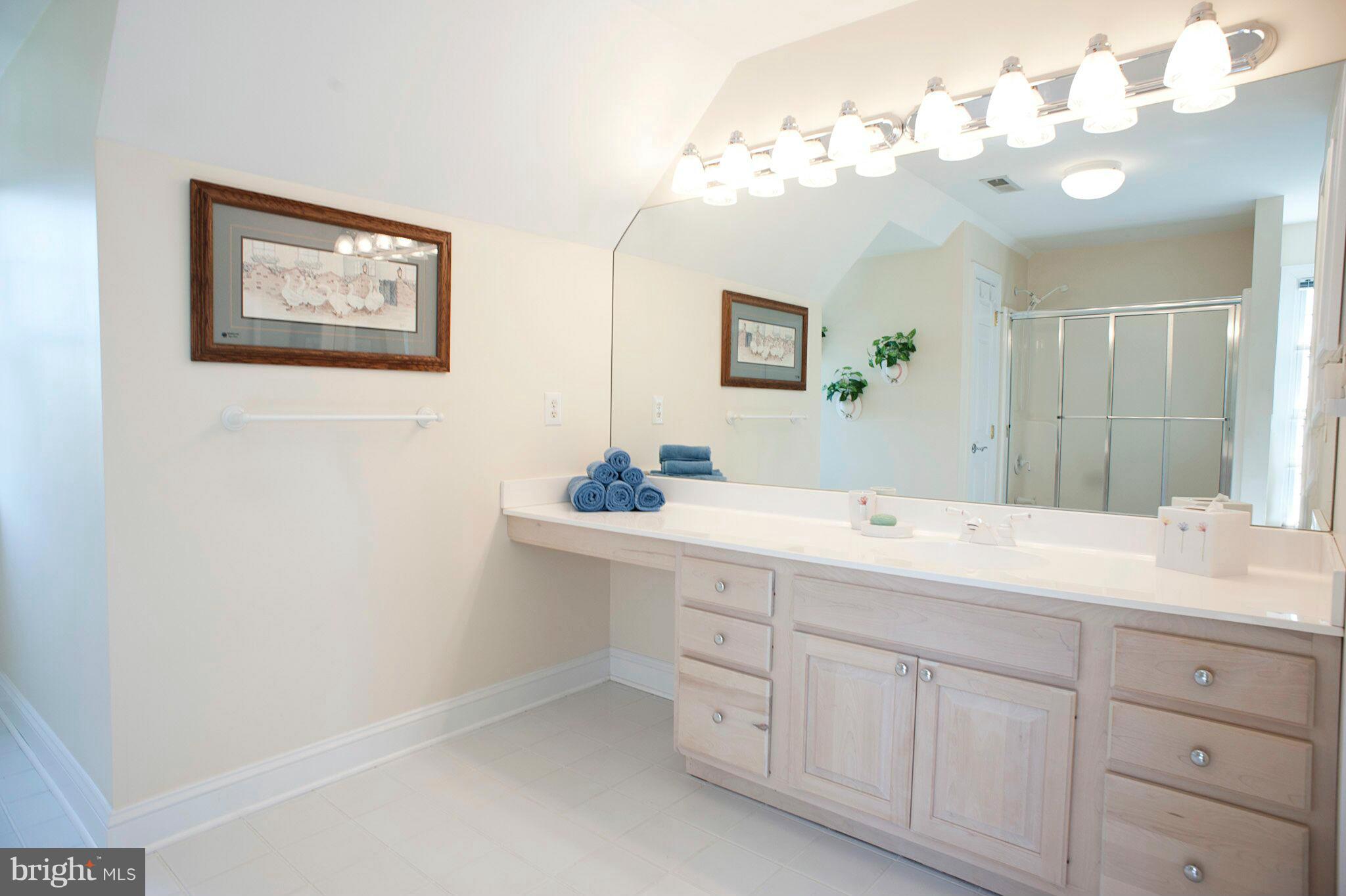 1101 Double Gate Road Davidsonville, MD 21035 - Photo 22 of 30 En Suite Bath for BR 4