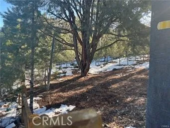 $65,000 | 1604 Linden Drive, Pine Mountain Club, CA 93222