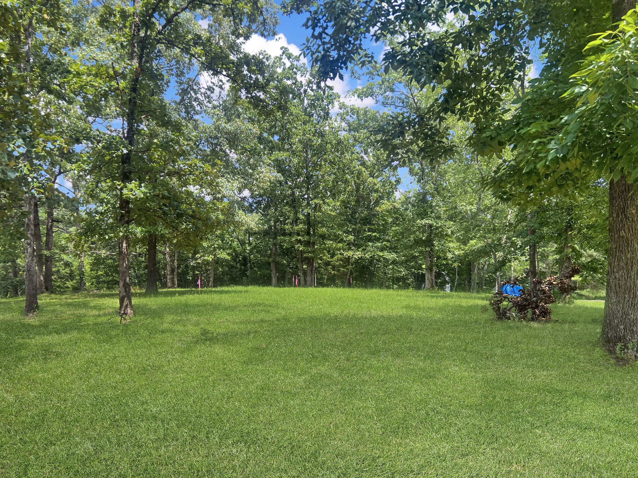 3150 Cypress Road Buchanan, TN 38222 - Photo 9 of 10 Gallery Image 9