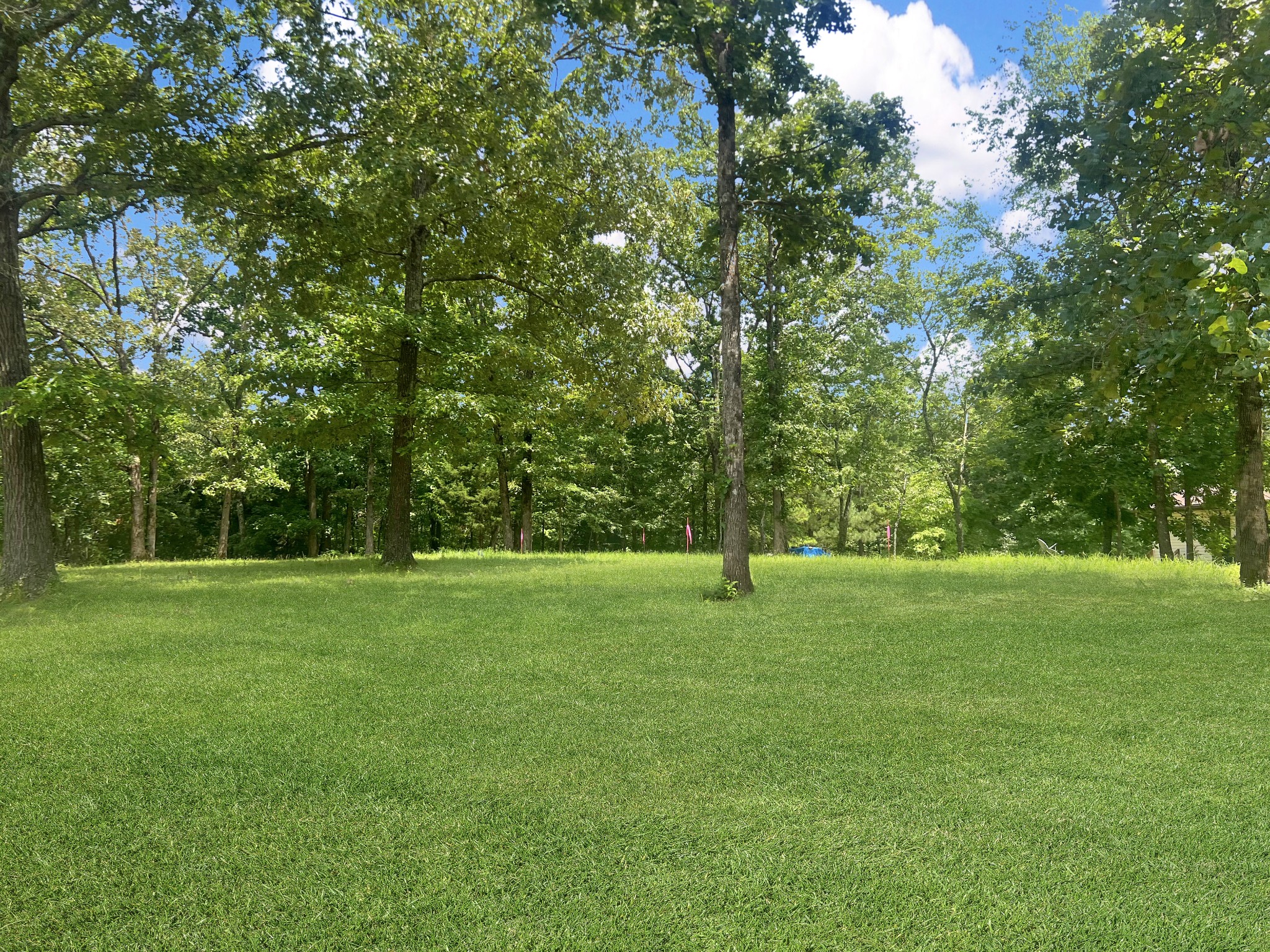 3150 Cypress Road Buchanan, TN 38222 - Photo 10 of 10 Gallery Image 10
