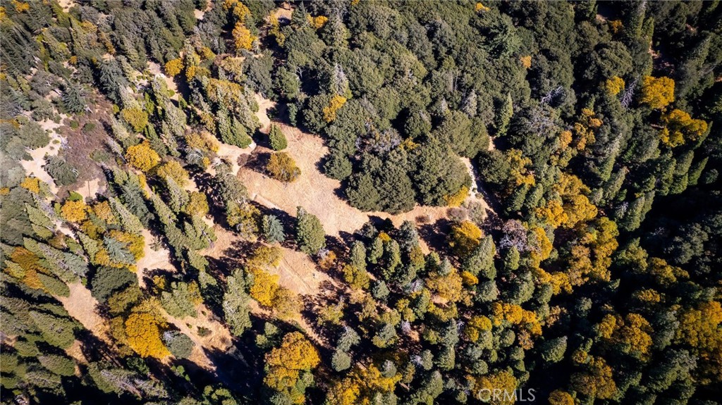 0 Mojave Road Cedarpines Park, CA 92322 - Photo 41 of 41