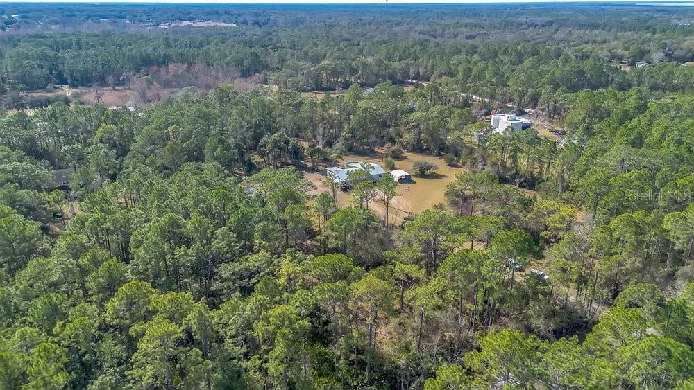 425 Scooter Point Geneva, FL 32732 - Photo 39 of 41