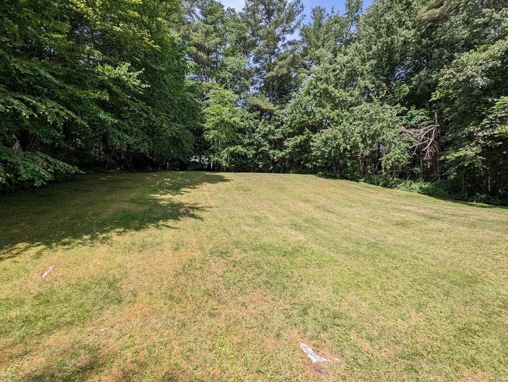 56 Colburn Road Charlton, MA 01507 - Photo 18 of 40 a view of a yard with a trees