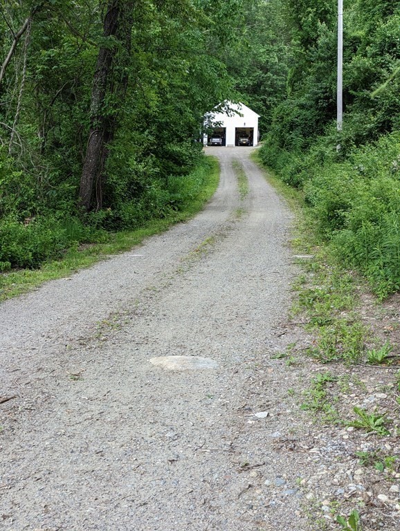 56 Colburn Road Charlton, MA 01507 - Photo 2 of 40 a view of a out door of the forest