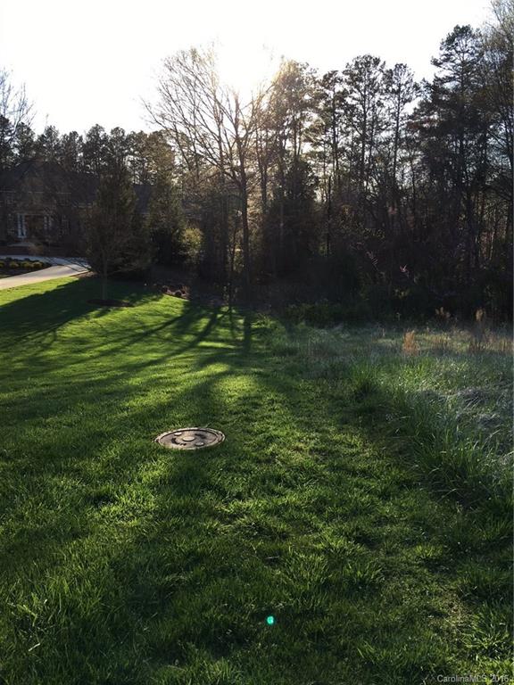 19133 Davidson-Concord Road Davidson, NC 28036 - Photo 3 of 12 Gallery Image 3