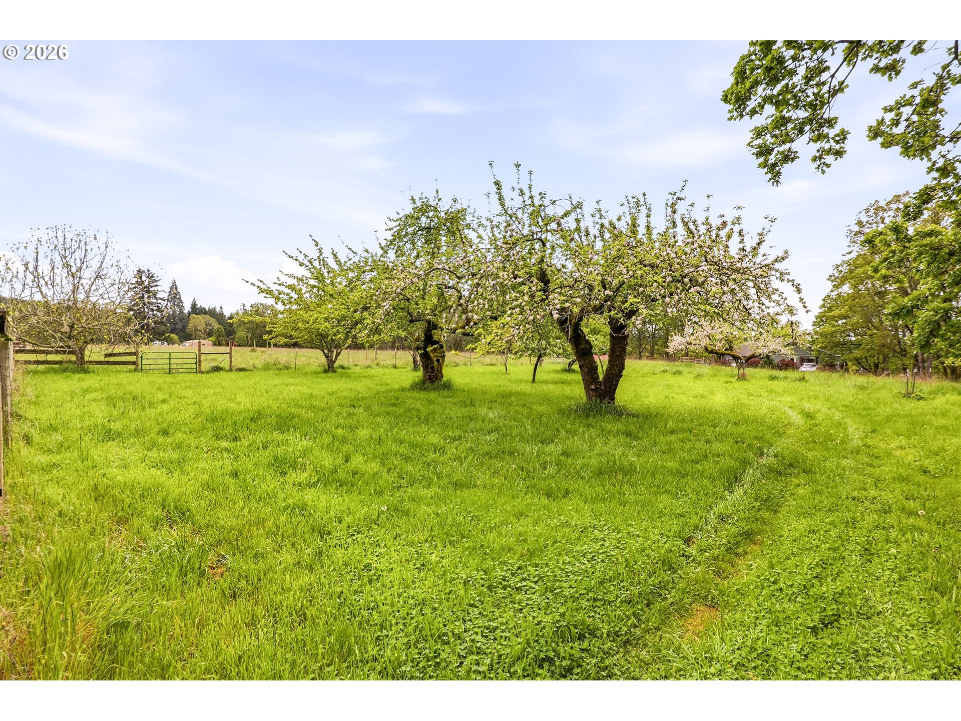 17386 South Callahan Road Molalla, OR 97038 - Photo 31 of 42 Yard