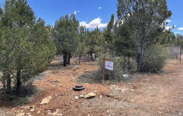 793 South Zion Road Orderville, UT 84758 - Photo 2 of 12 Natural landscape featuring mature evergreen trees and a rich, earthy ground cover