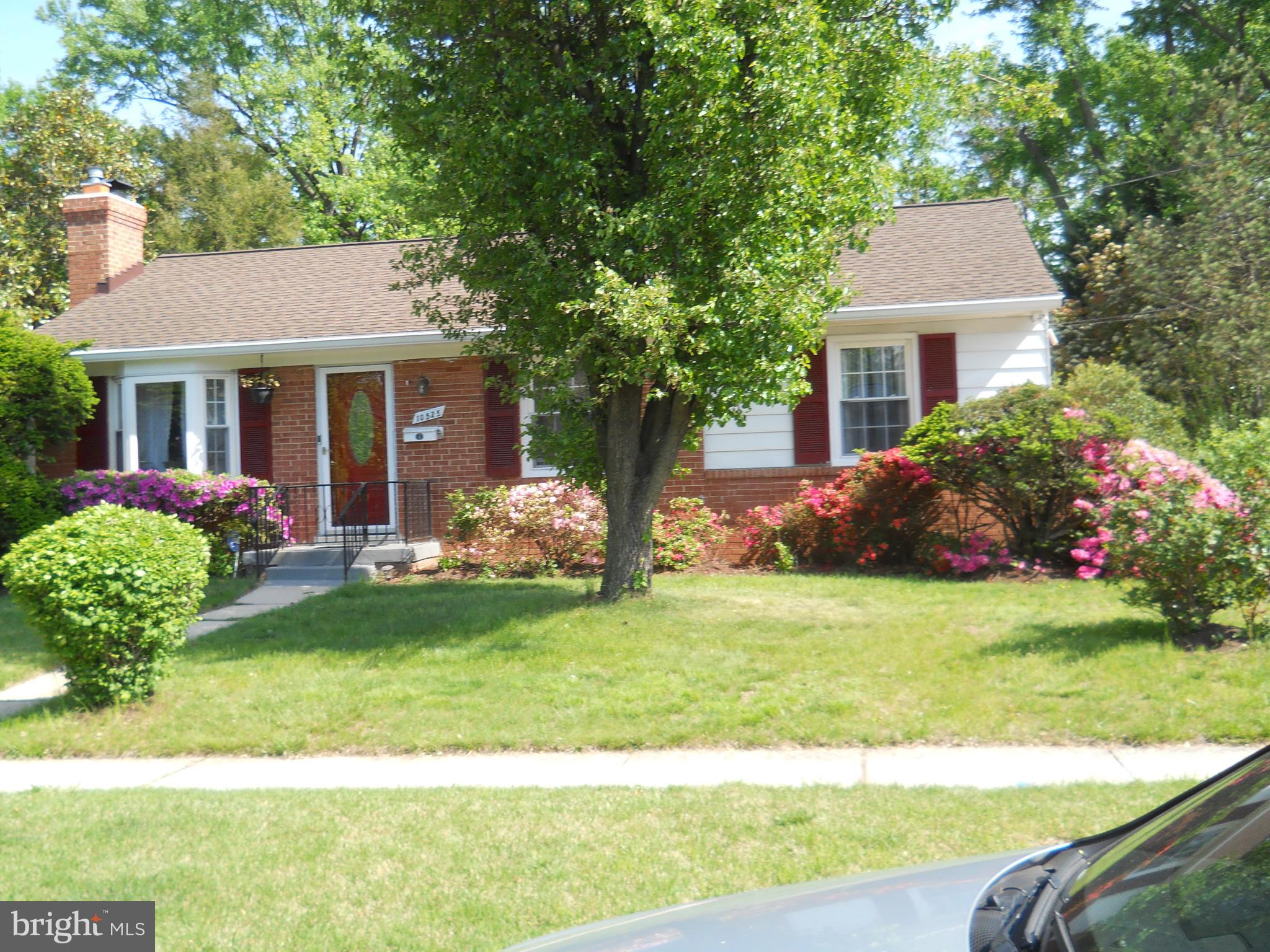 10525 Edgemont Drive Adelphi, MD 20783 - Photo 36 of 36 a front view of a house with garden