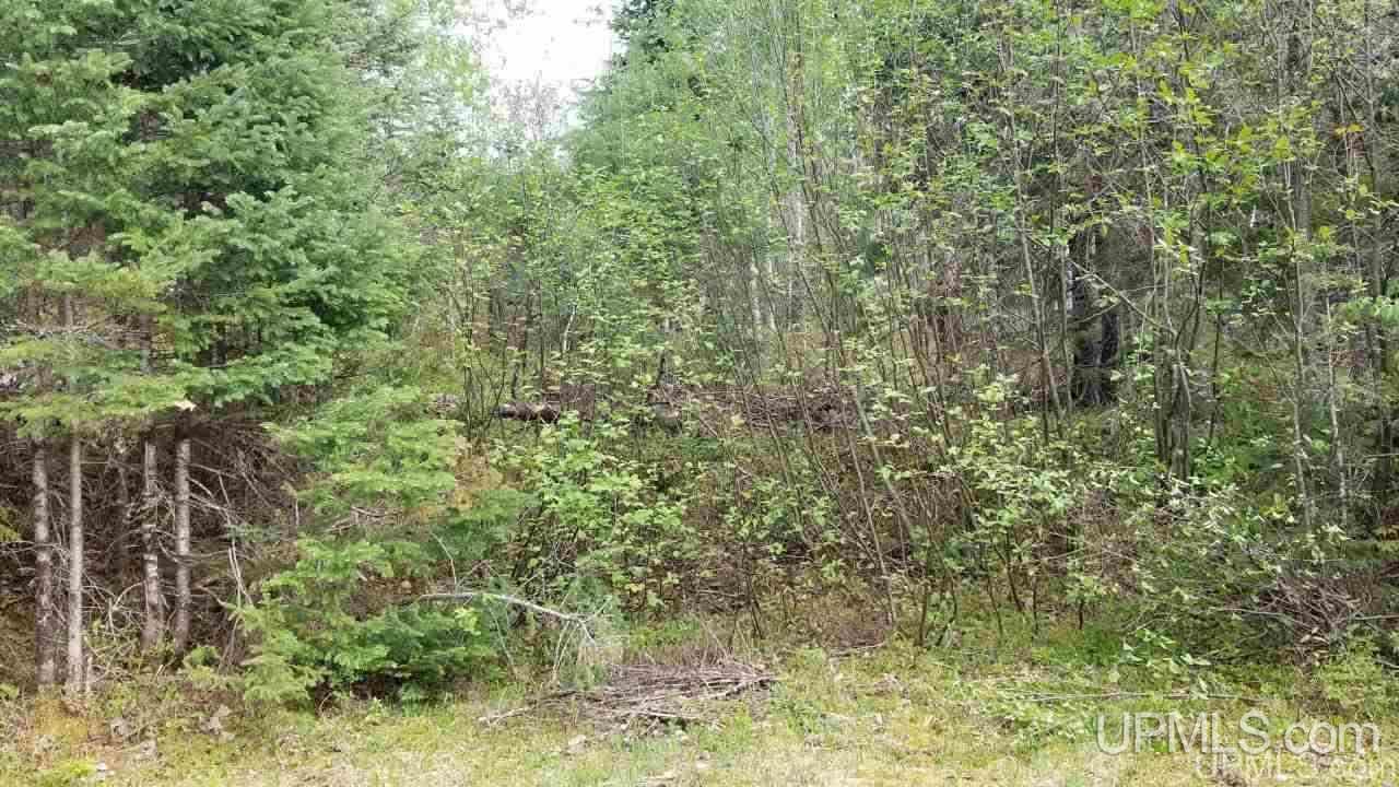 Tbd Fr 3470 Road Iron River, MI 49935 - Photo 21 of 31