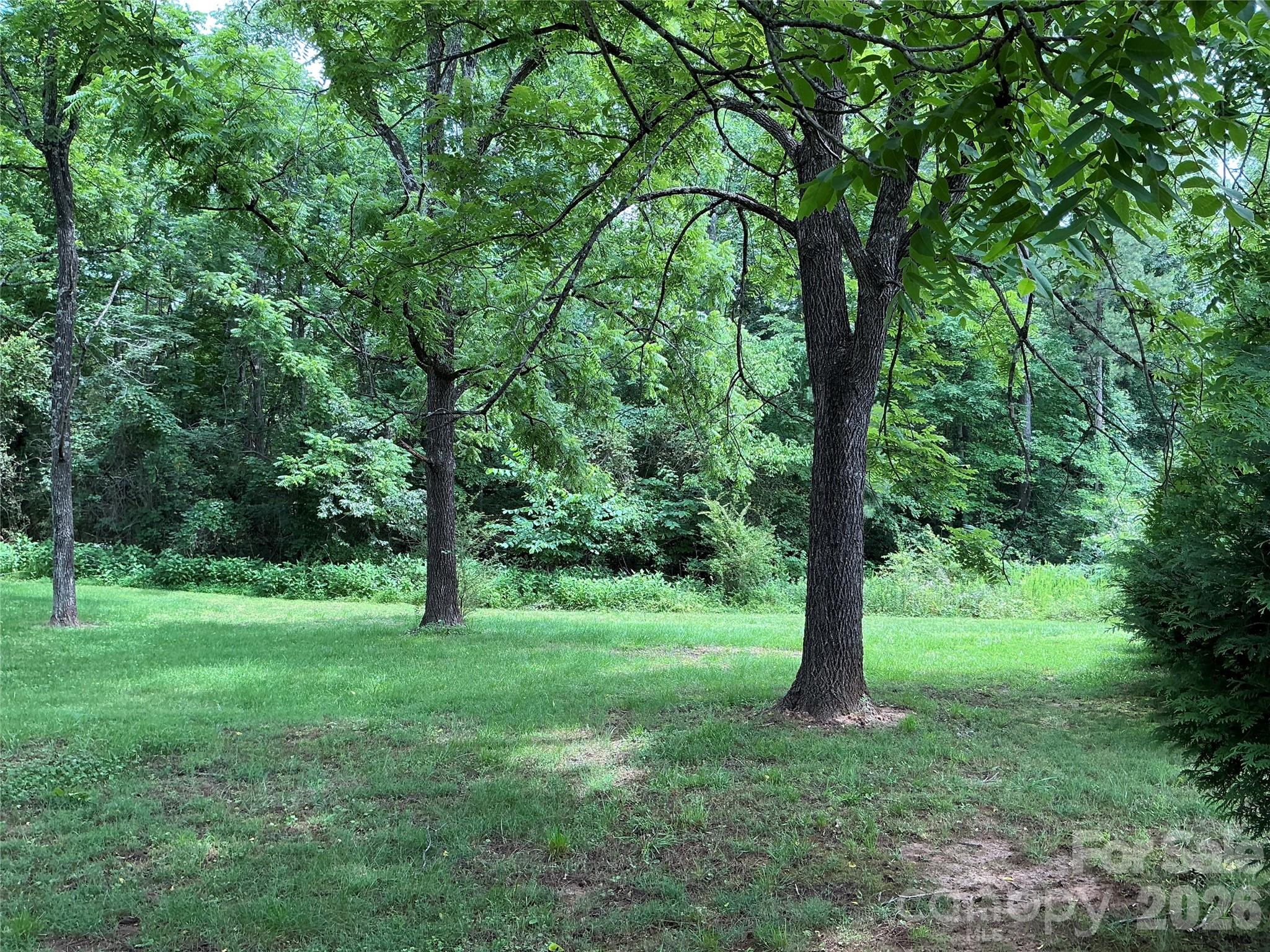 1199 McEntire Road Rutherfordton, NC 28139 - Photo 10 of 10