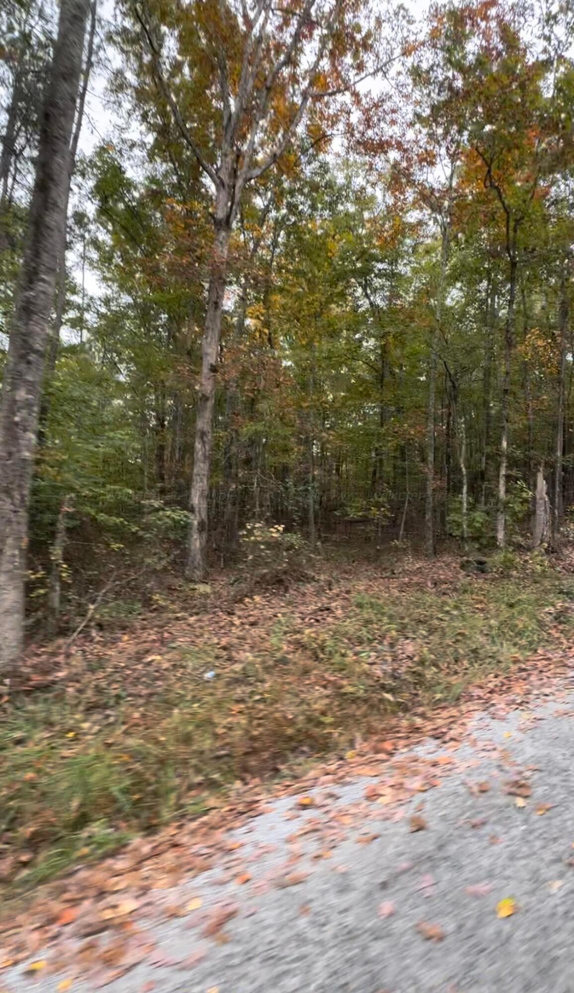Lot 13 Little Dismal Road Arley, AL 35541 - Photo 5 of 7 IMG_0932
