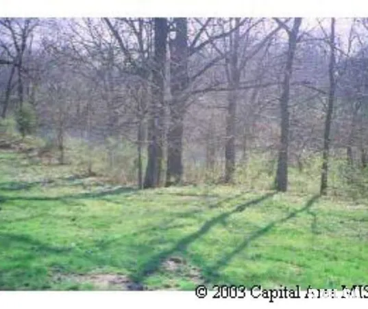 $15,000 | 27 East Bluff Drive, Petersburg, IL 62675