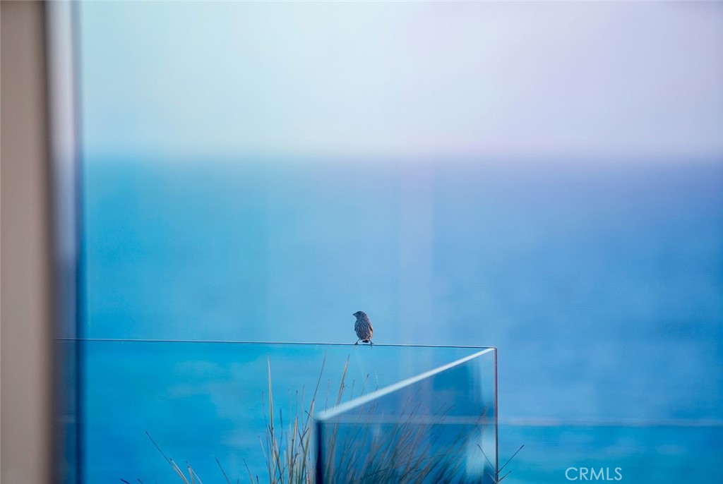 523 Emerald Bay Laguna Beach, CA 92651 - Photo 55 of 59