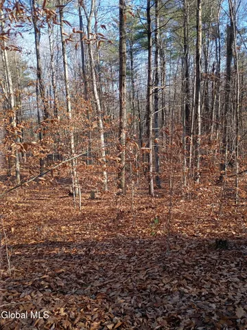 $988,000 | 50 Lincoln Mountain Road, Corinth, NY 12822