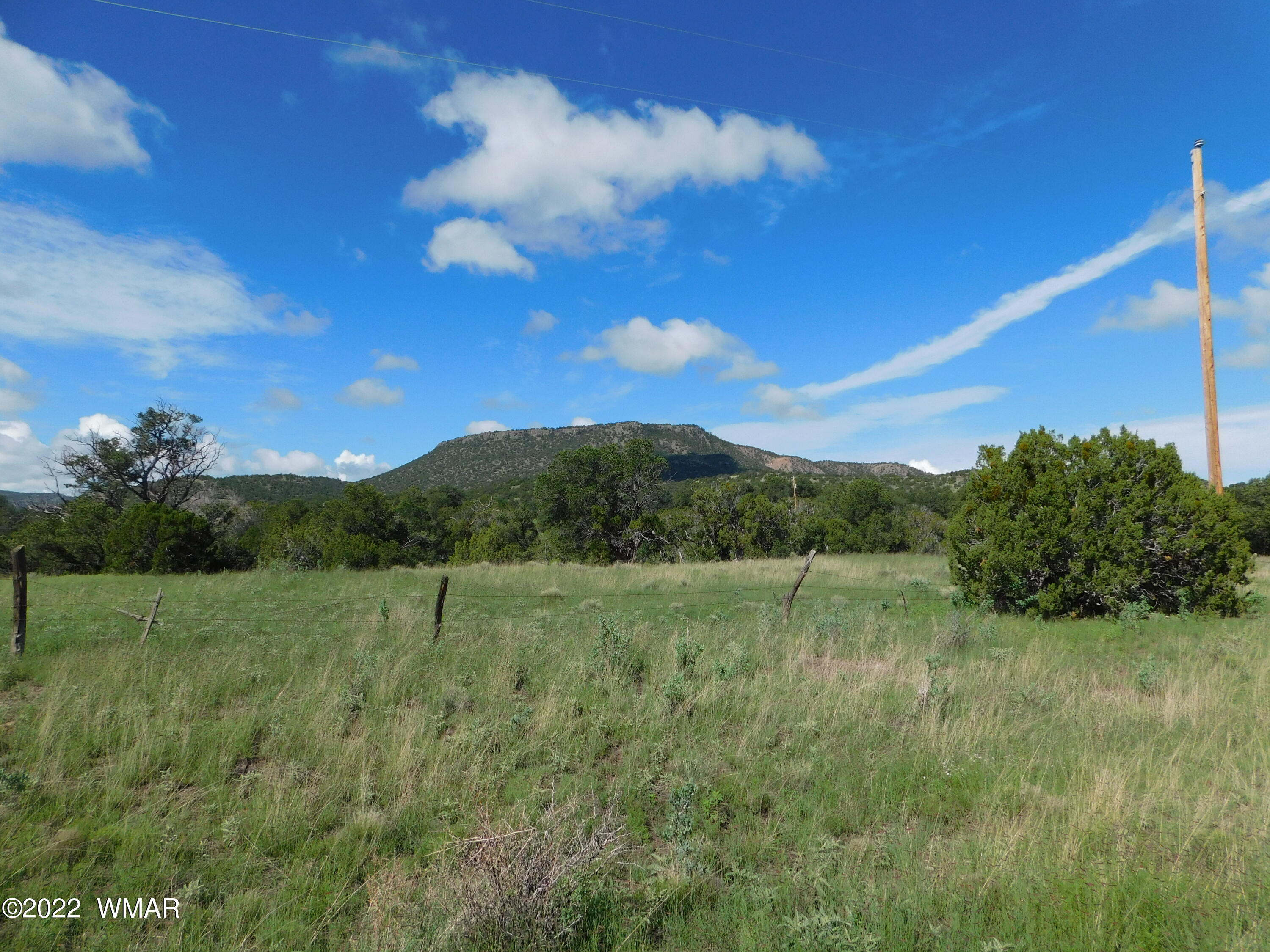 24 County Road 4128 Springerville, AZ 85938 - Photo 1 of 8