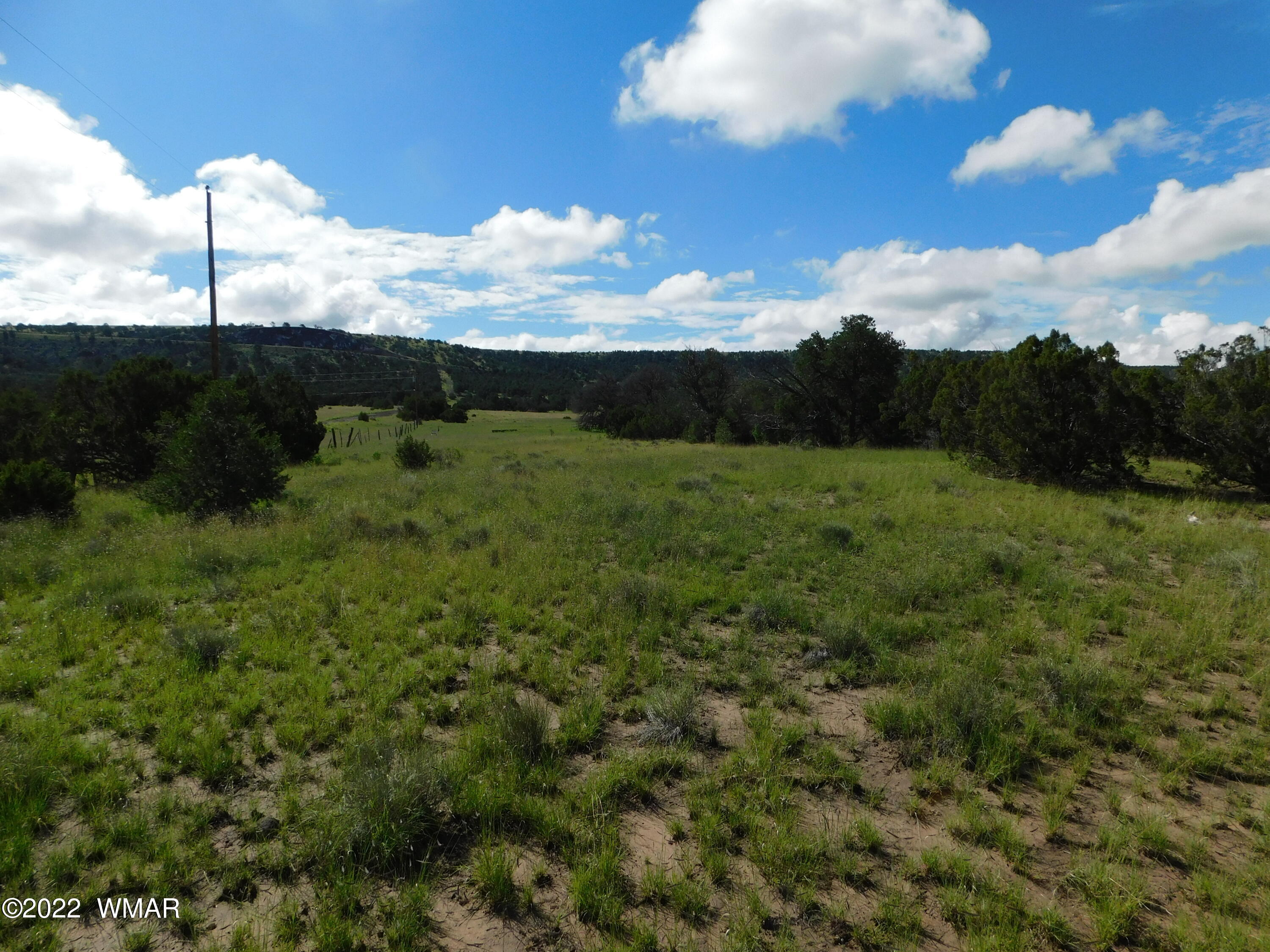 24 County Road 4128 Springerville, AZ 85938 - Photo 2 of 8