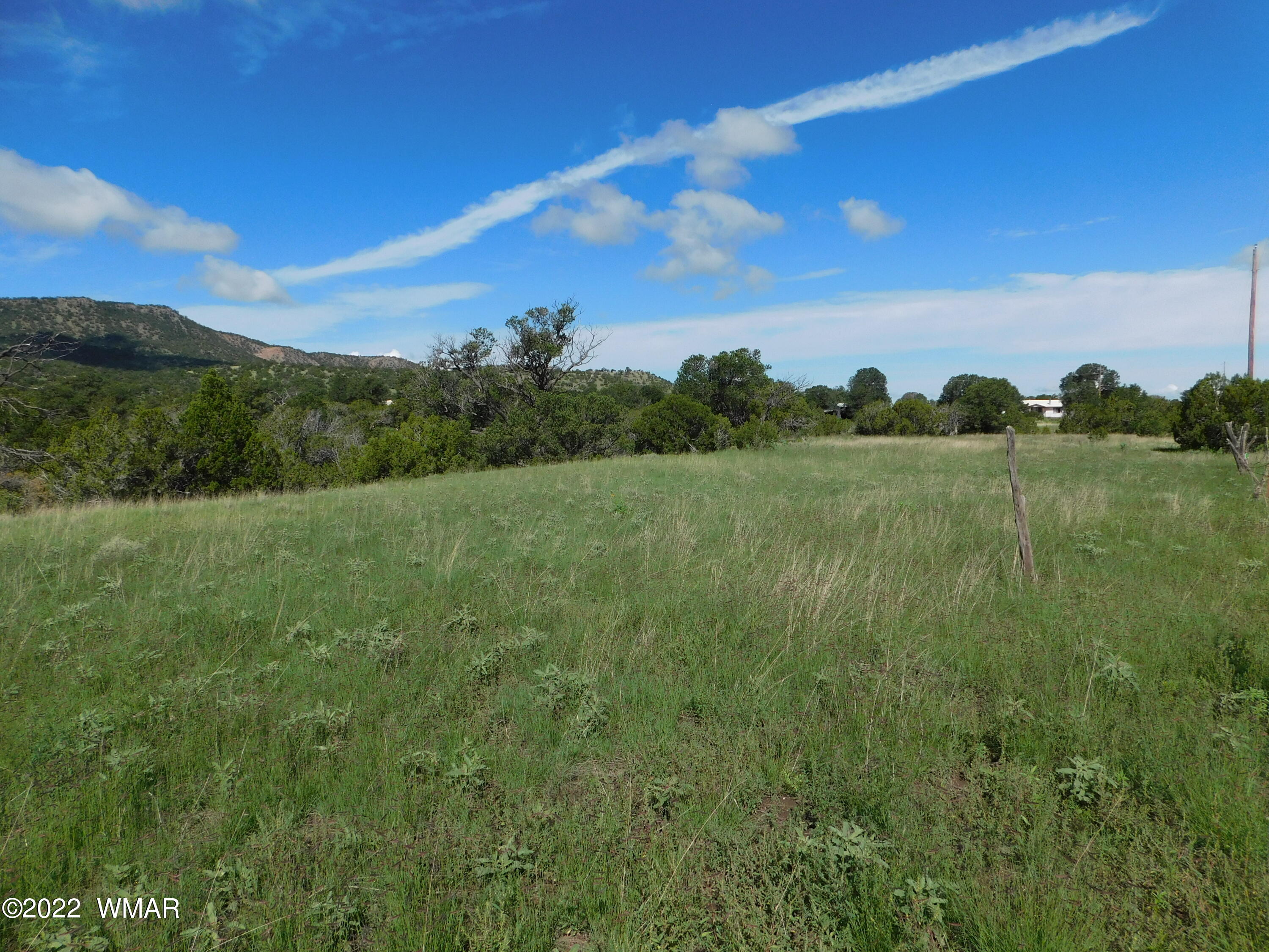 24 County Road 4128 Springerville, AZ 85938 - Photo 3 of 8