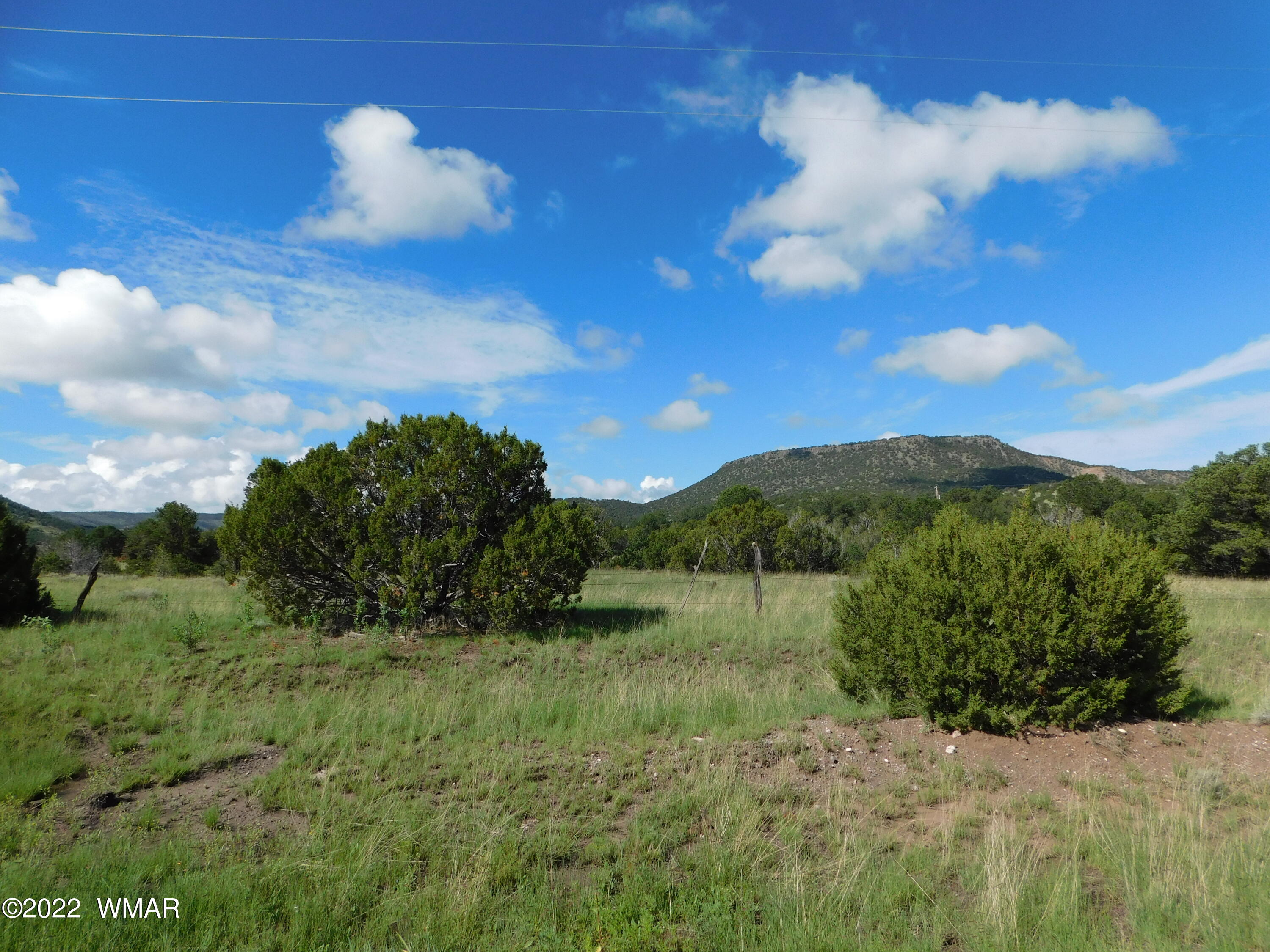 24 County Road 4128 Springerville, AZ 85938 - Photo 4 of 8