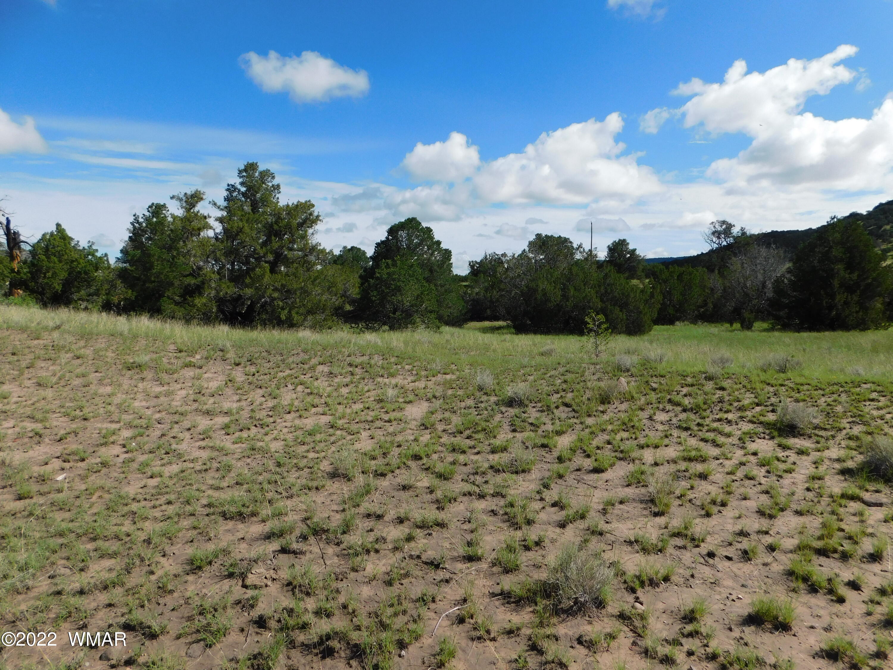 24 County Road 4128 Springerville, AZ 85938 - Photo 5 of 8
