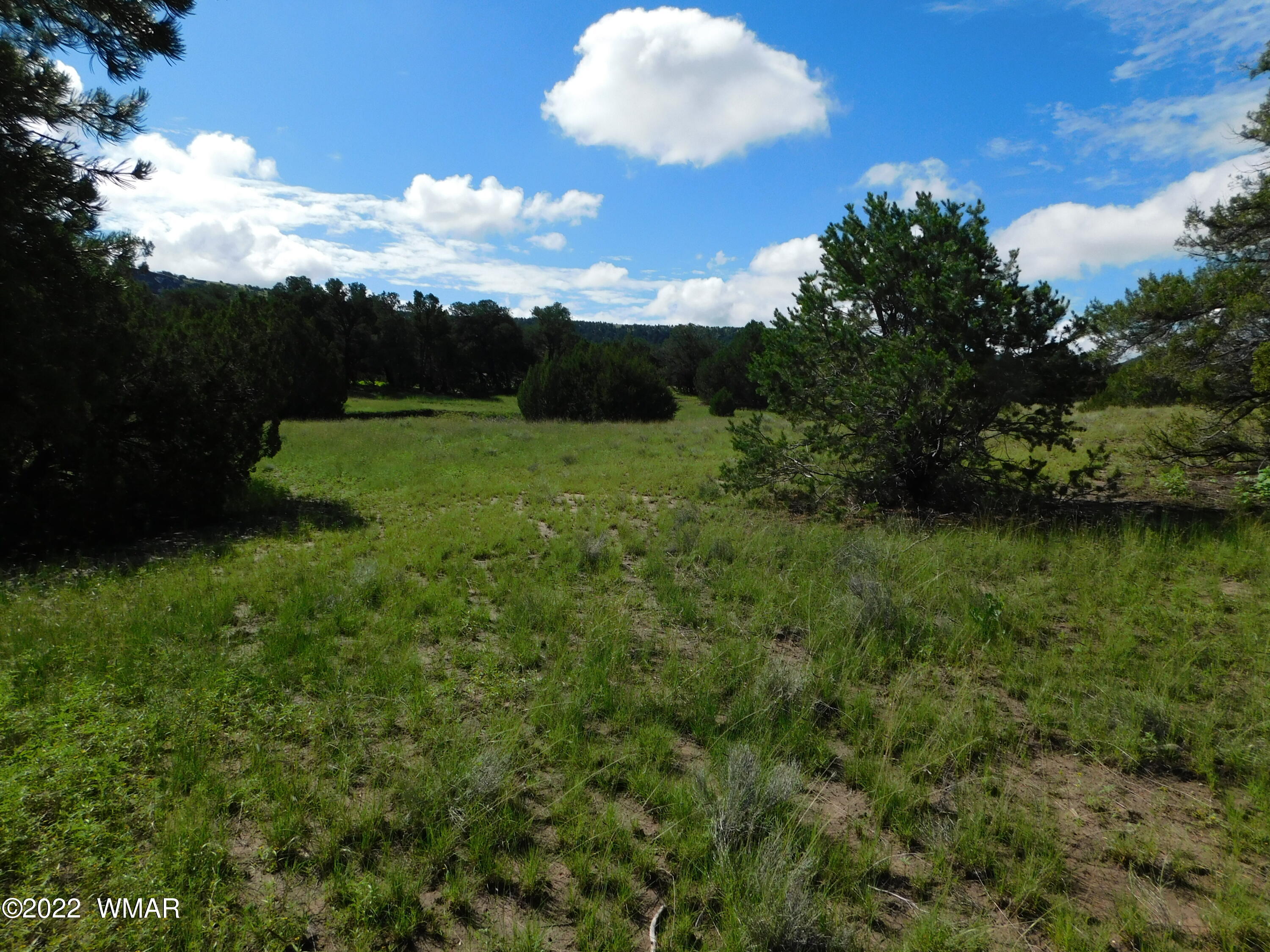 24 County Road 4128 Springerville, AZ 85938 - Photo 6 of 8