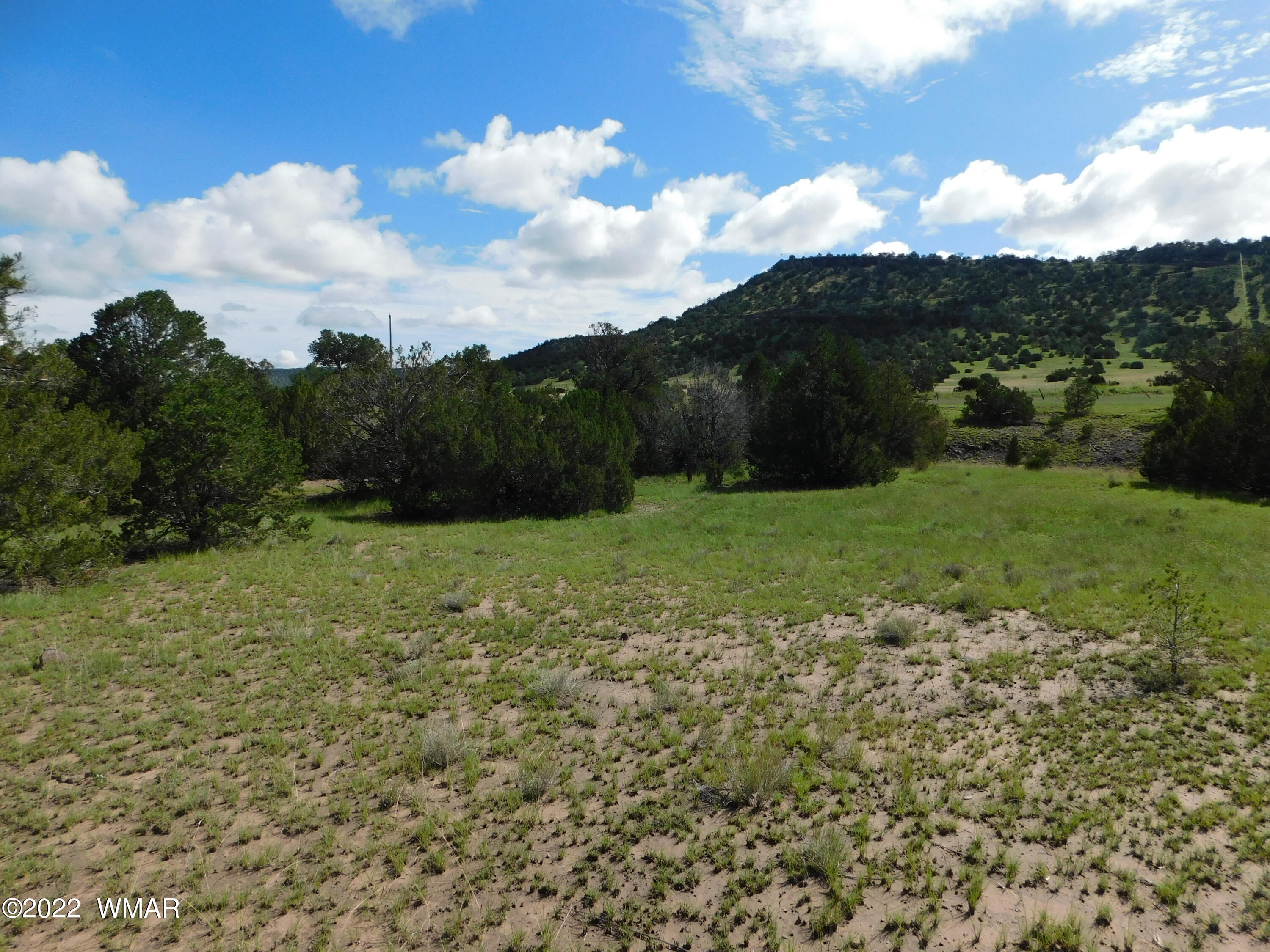 24 County Road 4128 Springerville, AZ 85938 - Photo 7 of 8