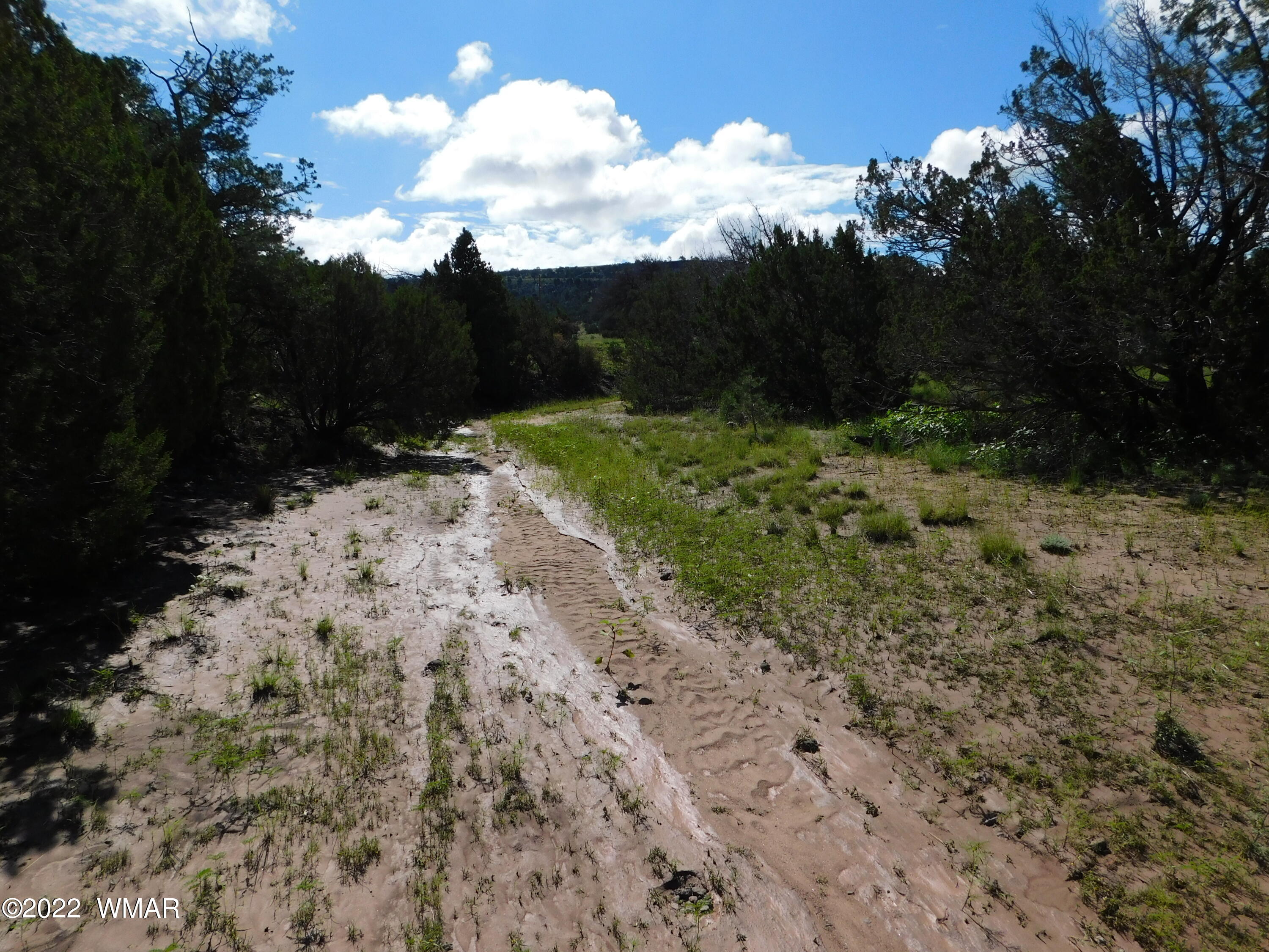 24 County Road 4128 Springerville, AZ 85938 - Photo 8 of 8
