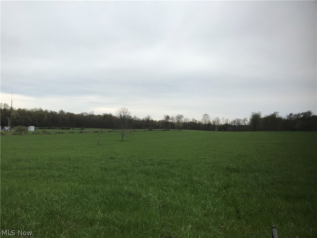 Horning Road Atwater, OH 44201 - Photo 3 of 5 Gallery Image 3