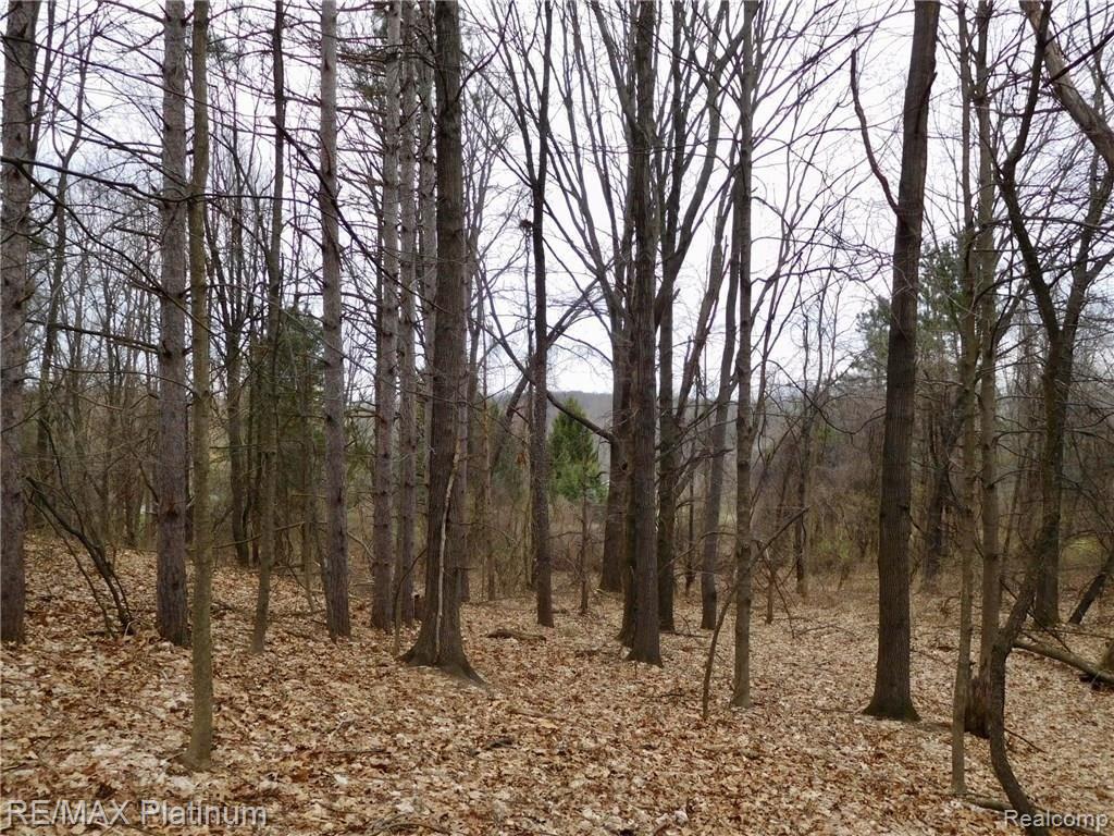0 West Buno Road Milford, MI 48381 - Photo 25 of 28