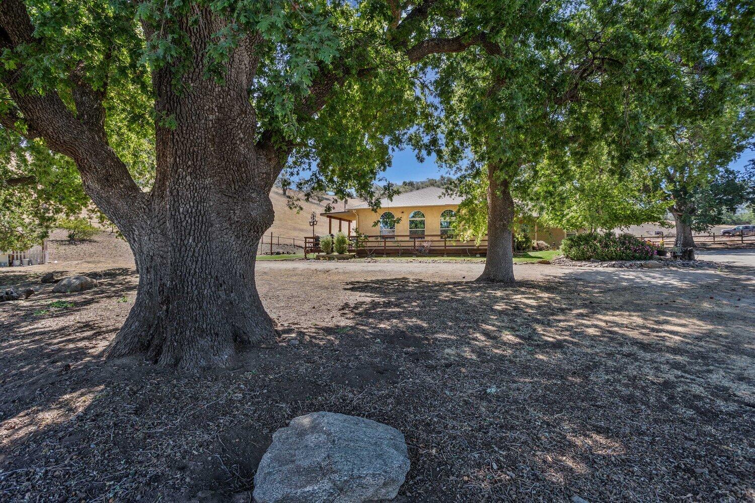 19510 Banducci Road Tehachapi, CA 93561 - Photo 39 of 75 a view of a backyard
