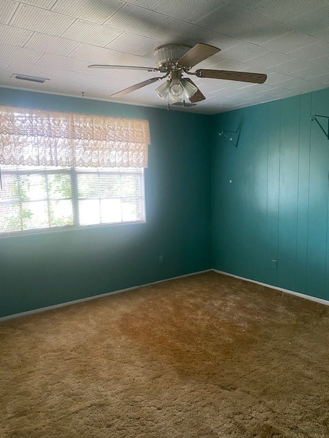 296 Conine Road Lakeland, GA 31635 - Photo 18 of 44 Gallery Image 18
